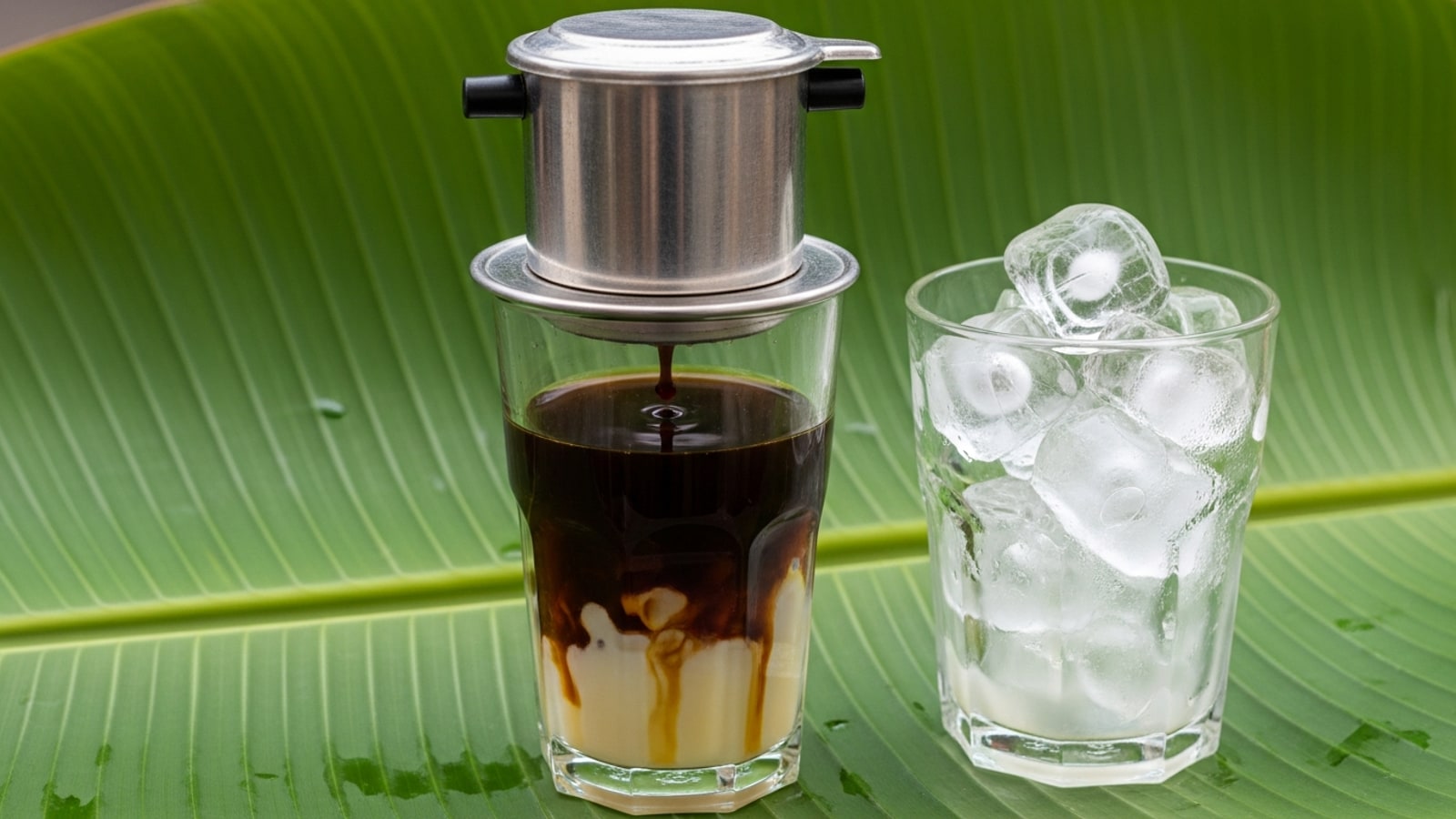 How to Make Vietnamese Coffee: The Complete Guide to Ca Phe and Ca Phe Sua Da