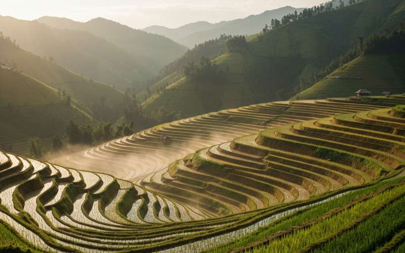 Coffee shops in Asia & Pacific